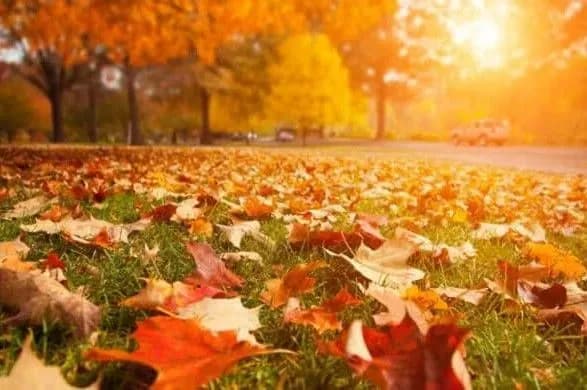 u-kiyevi-pobitiy-pershiy-temperaturniy-rekord-listopada