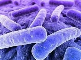 u-kharkivskiy-oblasti-gospitalizuvali-drugu-patsiyentku-z-pidozroyu-na-difteriyu