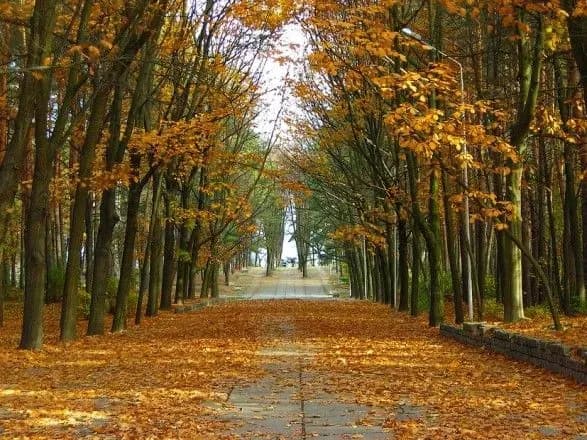 na-vikhidnikh-v-ukrayini-ochikuyetsya-do-21-gradusa-tepla