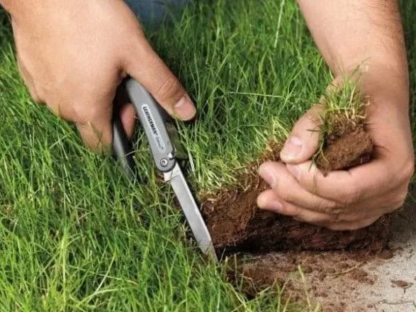 u-derzhvlasnist-khochut-povernuti-41-ga-zemli-u-koncha-zaspi-yaku-privlasnili-lyudi-eksnardepa