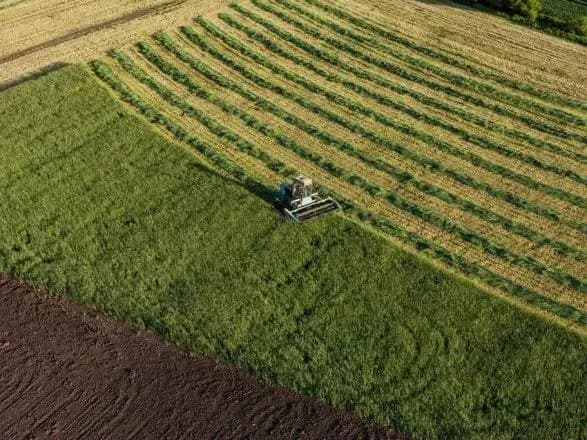 razumkov-mi-zmozhemo-vidkriti-rinok-zemli-dlya-inozemtsiv-pislya-referendumu