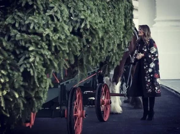 u-biliy-dim-dostavili-rizdvyanu-yalinku