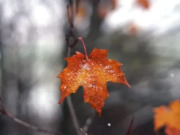 sinoptiki-dali-prognoz-pogodi-do-kintsya-tizhnya-6