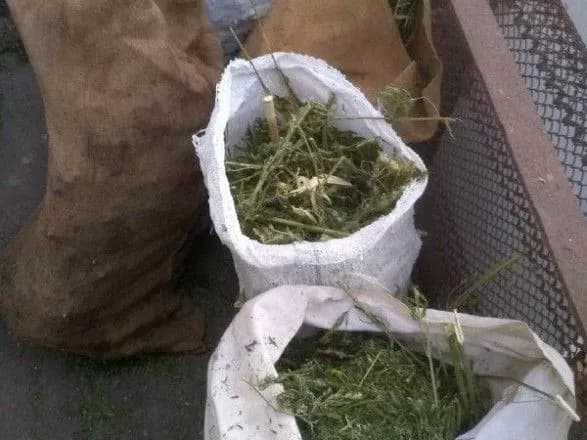 politsiya-u-mariupoli-viluchila-u-cholovika-mayzhe-7-kg-kanabisu