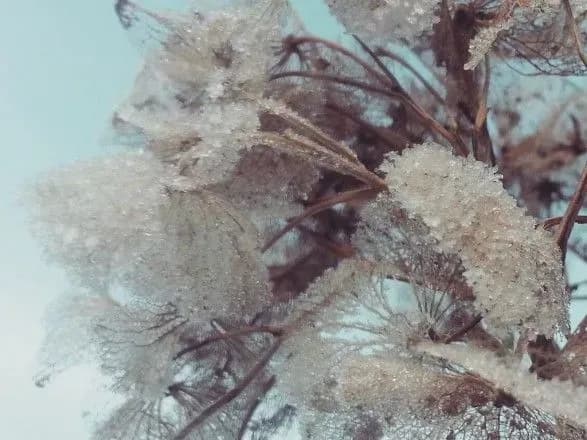 sinoptiki-dali-prognoz-pogodi-v-ukrayini-na-vikhidni-2