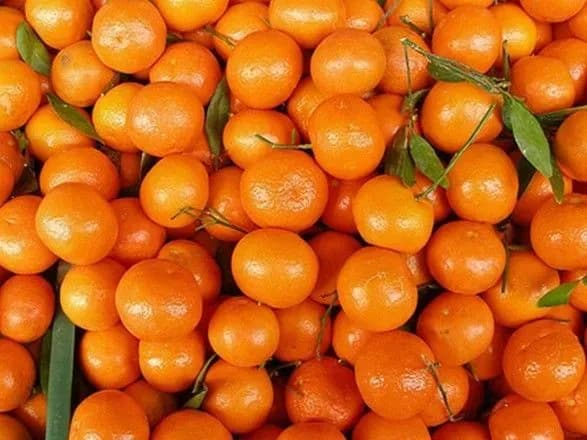 ukrayina-narostila-import-tsitrusovikh-iz-turechchini-ta-ispaniyi