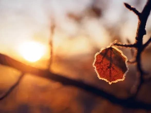 do-kintsya-tizhnya-temperatura-znizitsya-sinoptiki