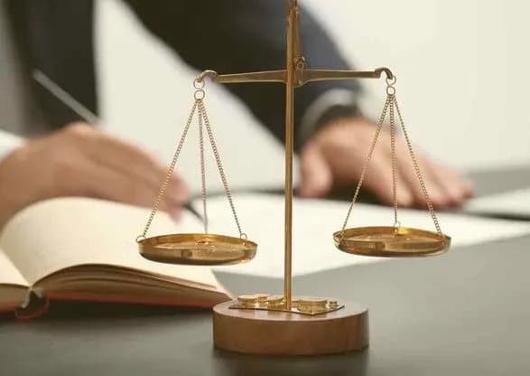 parlamentari-rozshirili-mozhlivosti-samopredstavnitstva-organiv-vladi-v-sudi