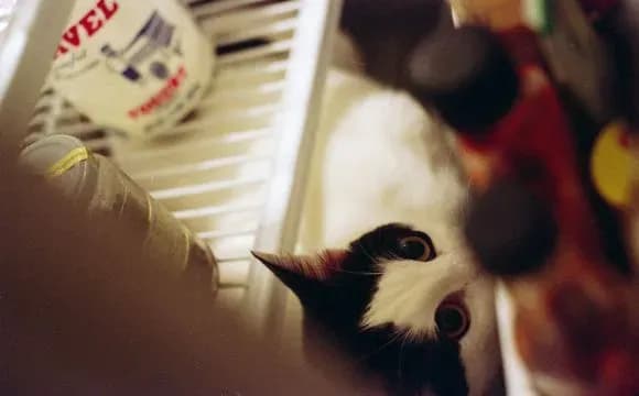 na-volini-cholovik-pid-chas-pograbuvannya-zachiniv-kota-u-moroziltsi-vin-zaginuv-vid-pereokholodzhennya