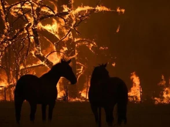 avstraliya-vpershe-v-istoriyi-zaluchaye-viyskovikh-dlya-borotbi-z-lisovimi-pozhezhami