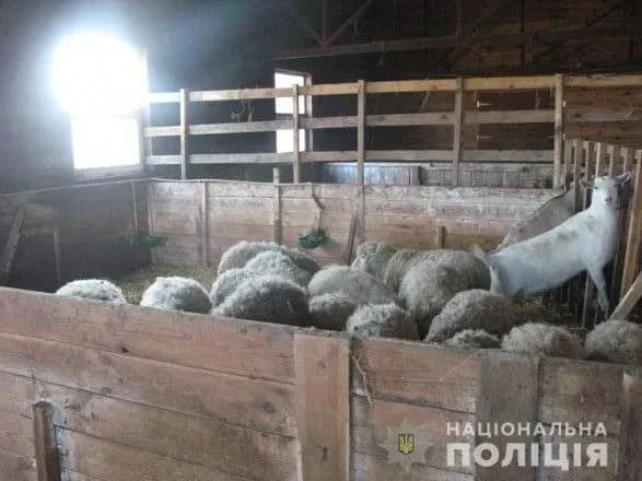 vlasnik-mini-zooparku-na-kiyivschini-zalishiv-tvarin-bez-yizhi-politsiya-vidkrila-provadzhennya