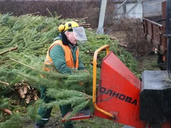 u-stolitsi-maydanchiki-dlya-zboru-novorichnikh-yalinok-pratsyuvatimut-do-1-lyutogo