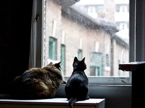 sogodni-v-ukrayini-vid-10-morozu-do-5-tepla