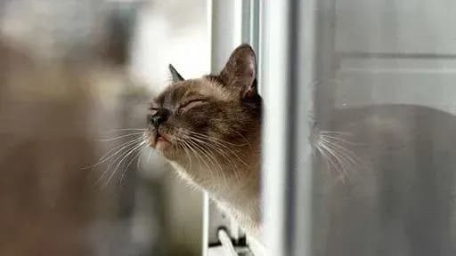 tsogorichna-seredina-zimi-u-kiyevi-bilshe-nagaduvala-osin