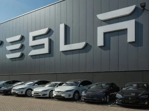 sud-u-nimechchini-prizupiniv-virubuvannya-lisu-na-mistsi-budivnitstva-zavodu-tesla