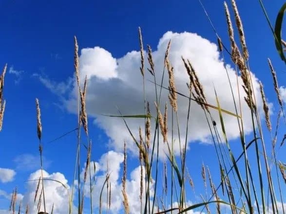 problemi-z-yizheyu-ta-zatoplennya-teritoriy-ekspert-poyasniv-yak-zmini-klimatu-mozhut-vplinuti-na-ukrayinu