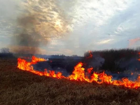 za-minulu-dobu-stalosya-ponad-pivtisyachi-pozhezh-sukhostoyu