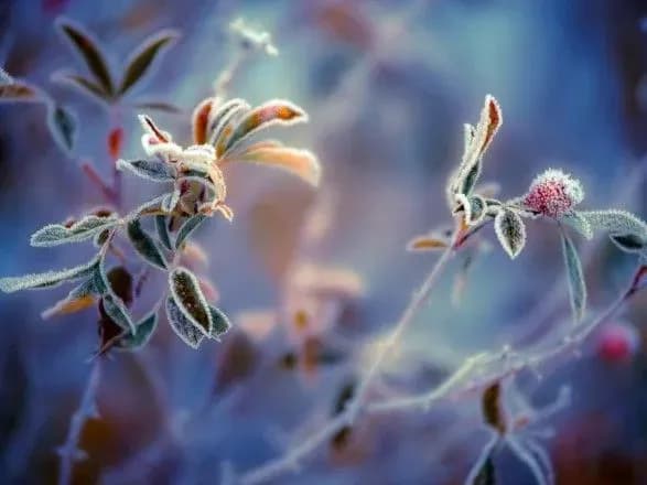 vid-zamorozkiv-do-12-tepla-prognoz-pogodi-na-sogodni