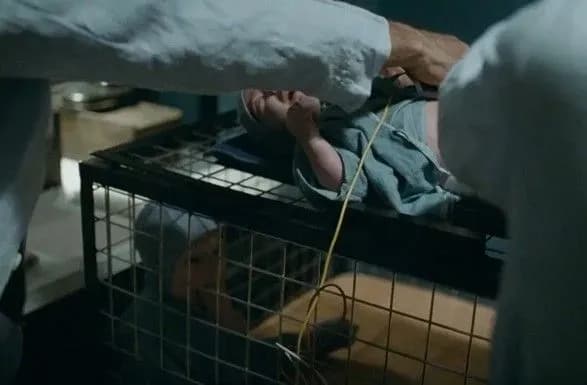 skandal-navkolo-proektu-dau-u-kharkovi-dopitali-direktora-ditbudinku