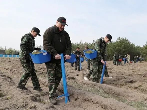 do-richnitsi-katastrofi-na-chaes-lukashenko-visadiv-sosni-u-parku-pripyatskiy