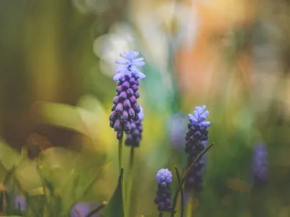 do-19-gradusiv-tepla-prognoz-pogodi-na-sogodni