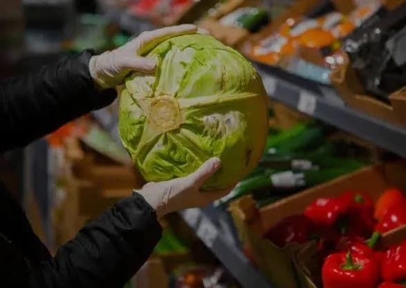 na-kiyivschini-zapratsyuvalo-vzhe-15-agroprodovolchikh-rinkiv