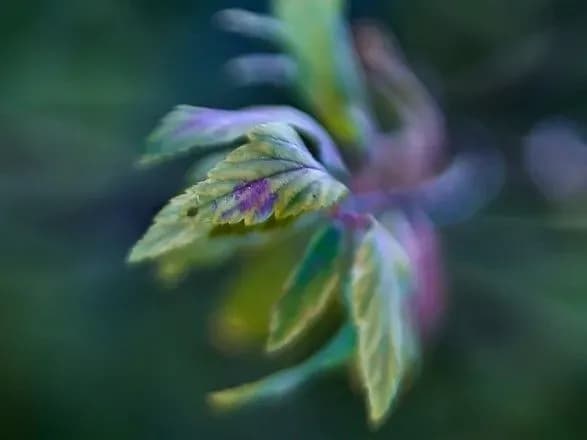 vid-zamorozkiv-do-24-tepla-prognoz-pogodi-na-sogodni