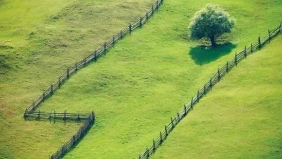 rada-napravila-na-doopratsyuvannya-zakonoproekt-schodo-prav-deyakikh-gromadyan-na-oderzhannya-zemelnogo-payu