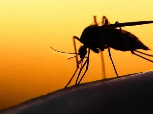 u-studenta-v-kharkovi-viyavili-malyariyu