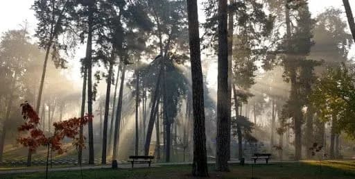 u-kiyevi-trivaye-rekonstruktsiya-pyatokh-parkiv-klichko