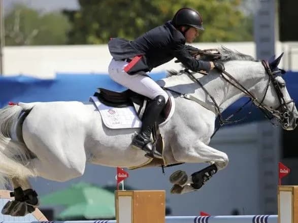 zhorstke-povodzhennya-z-konem-nayiznik-otrimav-20-richnu-diskvalifikatsiyu