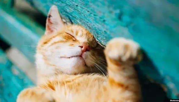 sinoptiki-dali-prognoz-pogodi-v-ukrayini-na-zavtra-14