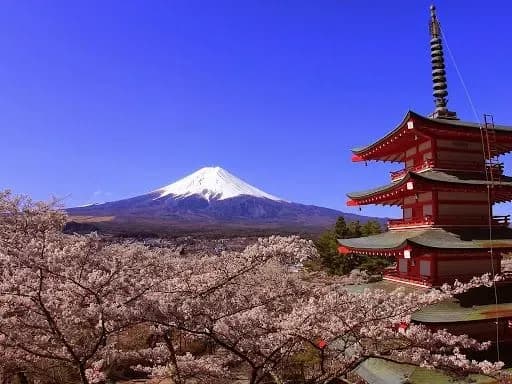 smert-ukrayintsya-na-gori-fudziyama-rodichi-viznachayutsya-schodo-poryadku-repatriatsiyi-v-ukrayinu