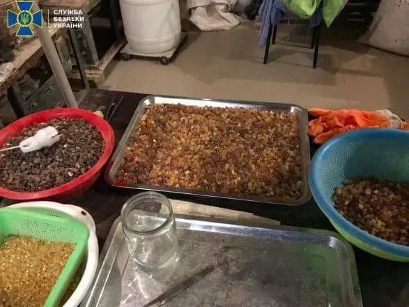 na-zhitomirschini-u-dokhid-derzhavi-konfiskuvali-nelegalnogo-burshtinu-na-ponad-12-mln-griven