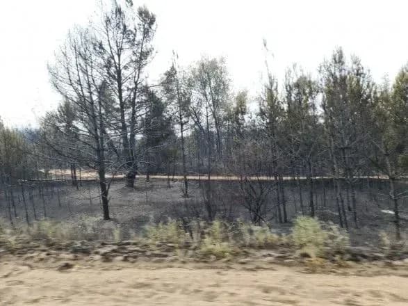 avakov-masshtab-ns-na-luganschini-skladaye-blizko-5-tis-ga