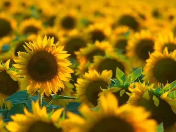 sinoptiki-dali-prognoz-pogodi-na-nastupni-tri-dobi-3