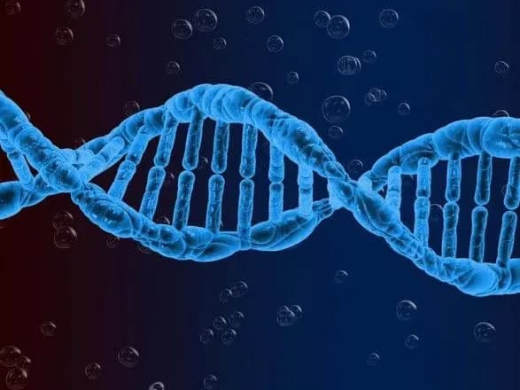 v-politsiyi-rozpovili-skilki-za-shist-rokiv-identifikuvali-zagiblikh-na-donechchini-viyskovikh