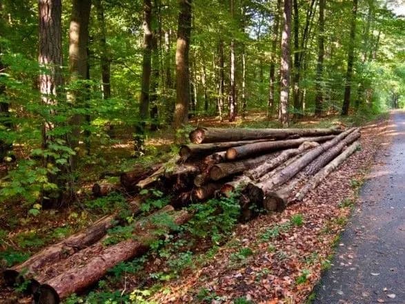 derzhekoinspektsiya-z-pochatku-roku-narakhuvala-ponad-177-mln-grn-zbitkiv-za-shkodu-prirodi