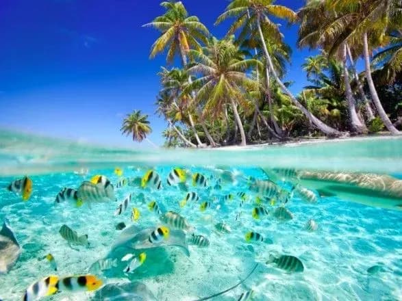 u-moz-onovili-spisok-krayin-zelenoyi-i-chervonoyi-zon-1