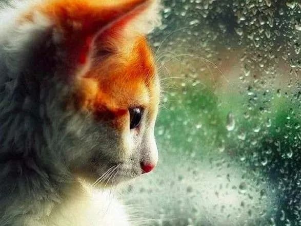 sinoptiki-dali-prognoz-pogodi-na-nastupni-tri-dobi-5