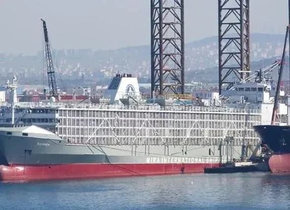 v-yaponiyi-pid-chas-tayfunu-zniklo-sudno-z-blizko-6-tisyachami-koriv-ta-43-chlenami-ekipazhu