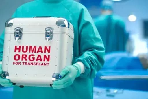 moz-kabmin-rozglyane-pitannya-stvorennya-tsentru-transplant-koordinatsiyi