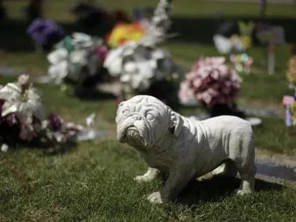 popri-obitsyanki-meriyi-kladovische-dlya-tvarin-u-kiyevi-do-kintsya-2020-roku-tak-i-ne-zyavitsya