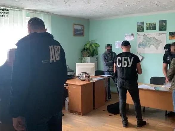 na-zakarpatti-vikrili-posadovtsiv-na-nezakonniy-virubtsi-lisu-na-ponad-3-5-mln-grn