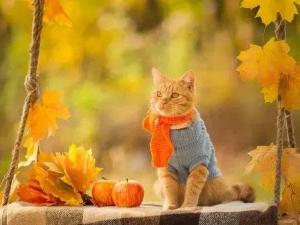 sinoptiki-dali-prognoz-na-tri-dni-obitsyayut-do-25