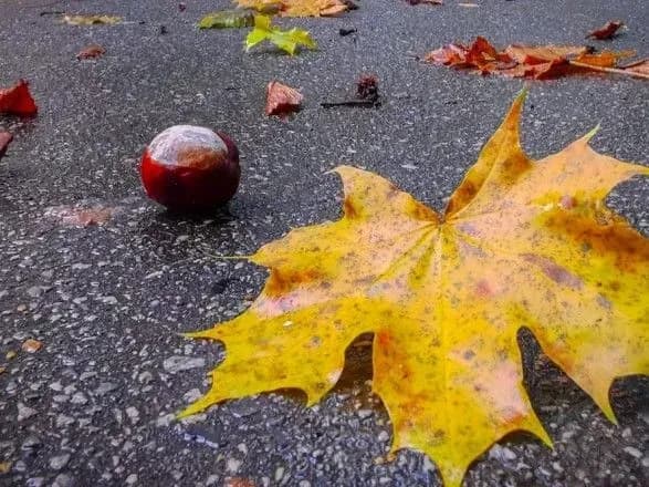 sinoptiki-dali-prognoz-na-den-viboriv