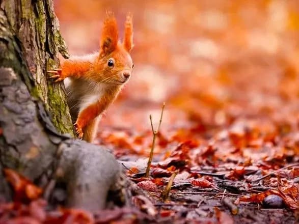 sinoptiki-dali-prognoz-pogodi-na-vikhidni-27