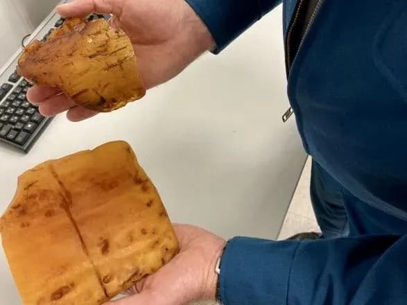 u-borispoli-mitniki-viluchili-18-ridkisnikh-shmatkiv-burshtinu