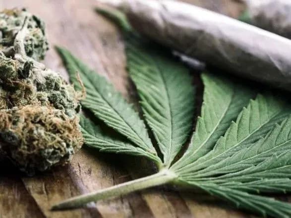 na-kordoni-viyavili-inozemtsya-yakiy-viz-u-rosiyu-marikhuanu-ta-galyutsinogenni-gribi