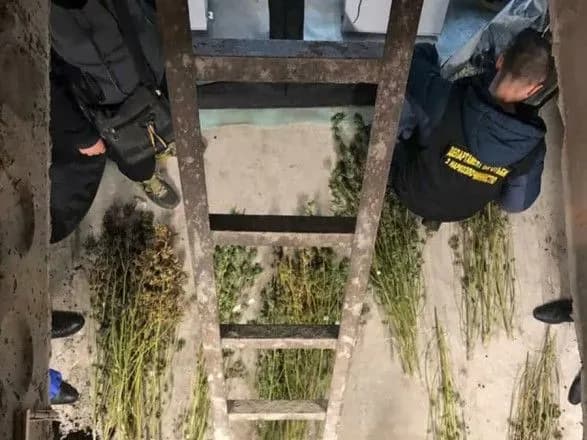 u-kiyevi-vikrili-dvi-narkolaboratoriyi-u-yakikh-vigotovlyali-amfetamin-ta-viroschuvali-kanabis